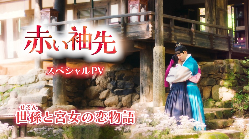 「赤い袖先」スペシャルPVビジュアル