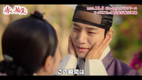 「赤い袖先」スペシャルPVより。