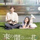 京本大我の主演ドラマ「束の間の一花」ビジュアル解禁、新キャストに駒井蓮や山之内すず