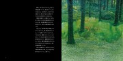 「ぼくは話があるんだ、きみたち、子どもたちだけが信じる話が」中面