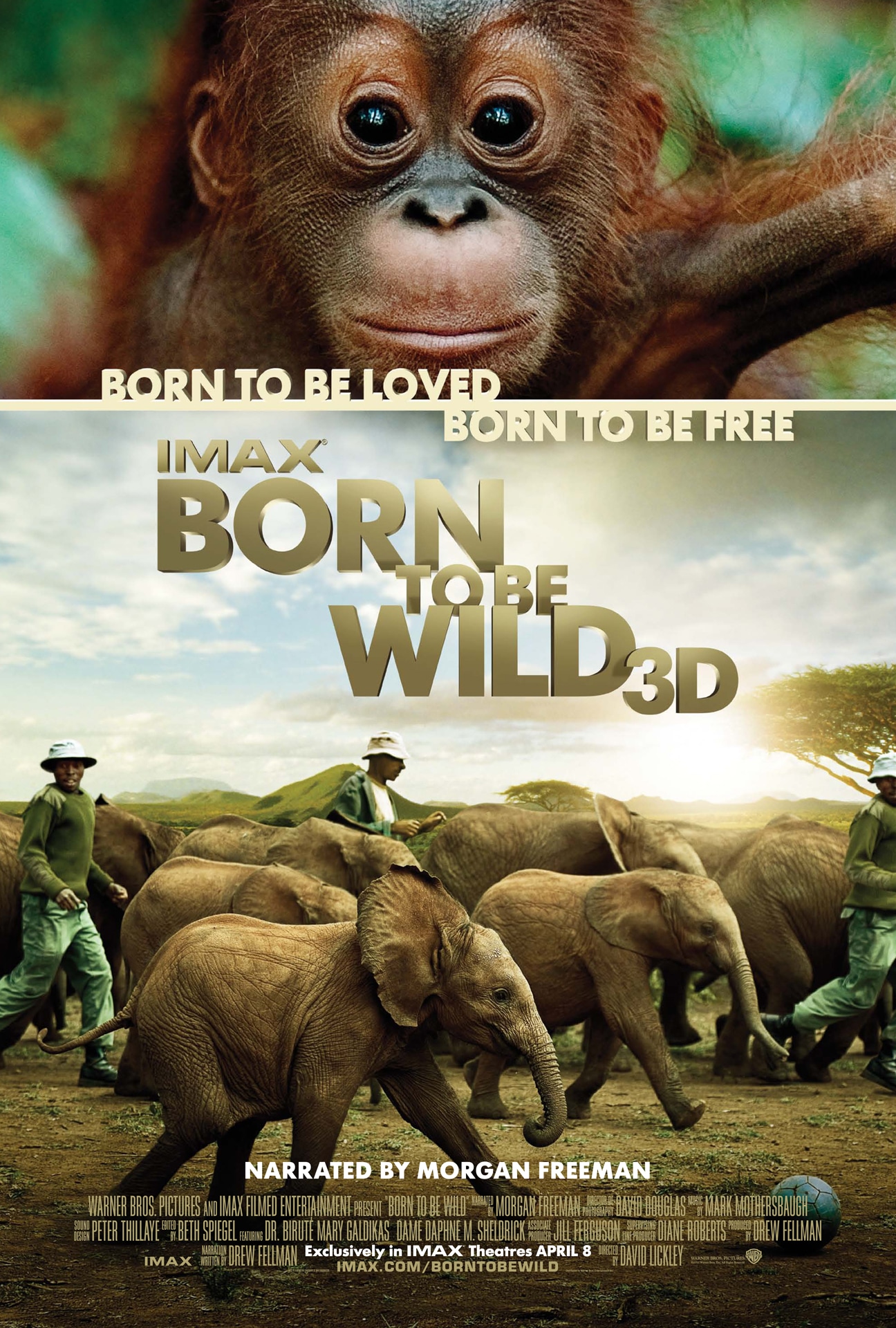 「Born To Be Wild 3D -野生に生きる-」ビジュアル (c)2010 Warner Bros. Ent. All Rights Reserved