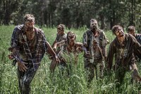 「ゾンビ・サステナブル」新場面写真