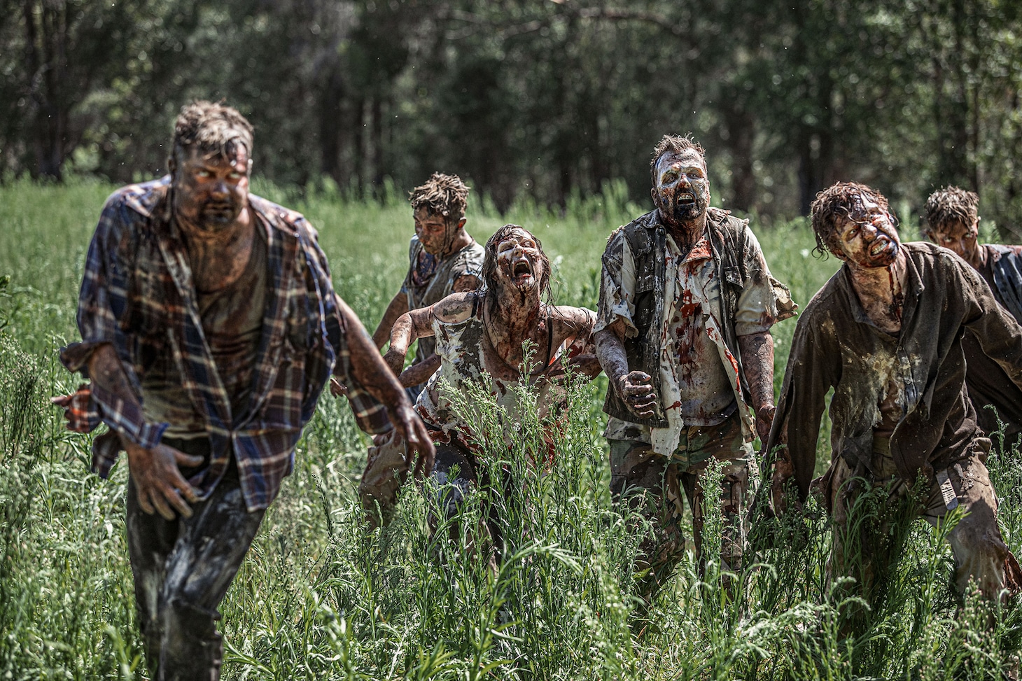 「ゾンビ・サステナブル」新場面写真