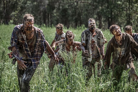 「ゾンビ・サステナブル」新場面写真