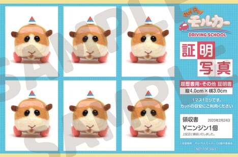 証明写真風ステッカーのイメージ。