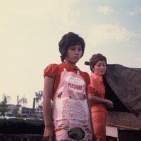 「虹をわたって」