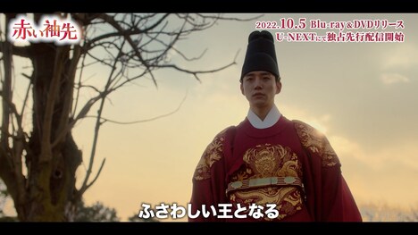 「赤い袖先」スぺシャルPV“宿命を背負うイ・サン”より。