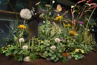 「床下の家と小人の庭」