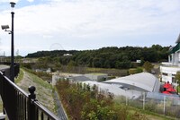 「ジブリの大倉庫」から「どんどこ森」の道中から見える景色。