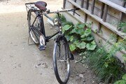 「サツキとメイの家」の庭に置かれている自転車。