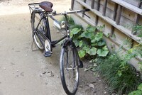 「サツキとメイの家」の庭に置かれている自転車。