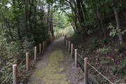 「どんどこ森」頂上への道。どんぐりがたくさん落ちている。