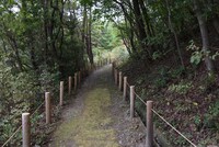 「どんどこ森」頂上への道。どんぐりがたくさん落ちている。