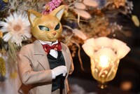 「地球屋」よりバロン。