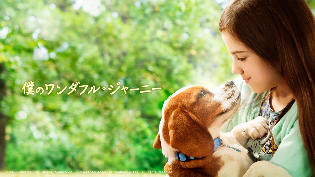 「僕のワンダフル・ジャーニー」ビジュアル
