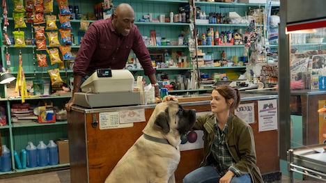 「僕のワンダフル・ジャーニー」