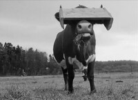 「百年の夢 デジタル・リマスター版」