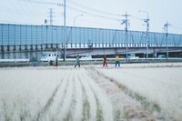 「北風だったり、太陽だったり」
