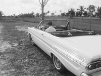 「セールスマン」