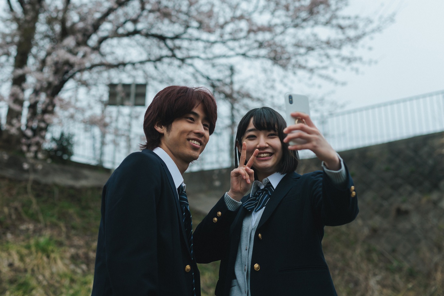 「少女は卒業しない」