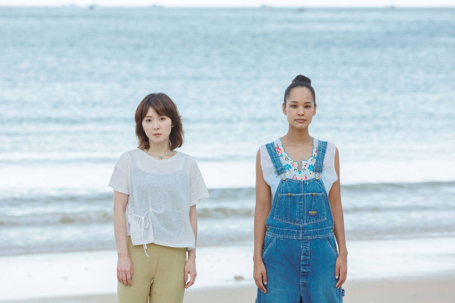 「連続ドラマW フェンス」メインビジュアル