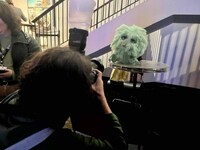 第51回モントリオール・ヌーヴォー・シネマ映画祭の様子。