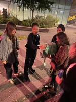 第51回モントリオール・ヌーヴォー・シネマ映画祭の様子。