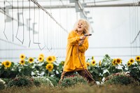 「シーヒャ -反抗的な妖精」