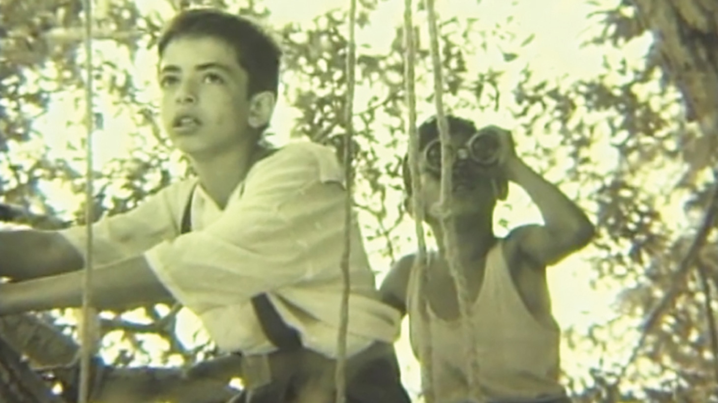 「小さなアコーディオン弾き」