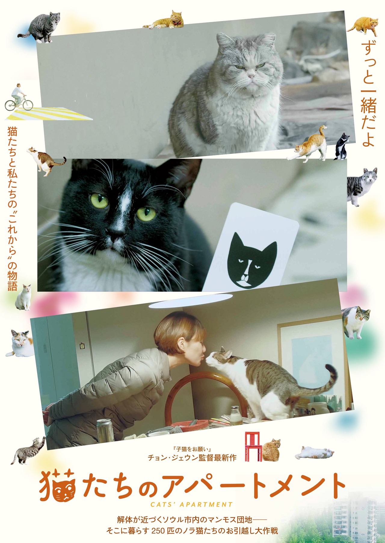 「猫たちのアパートメント」ポスタービジュアル