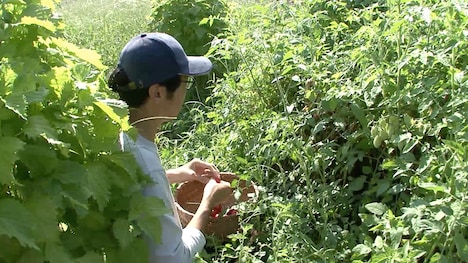 「若者は山里をめざす」