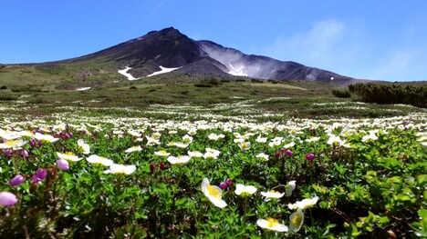 「日本列島生きもの超伝説 劇場版ダーウィンが来た！」より、北海道の大雪山。