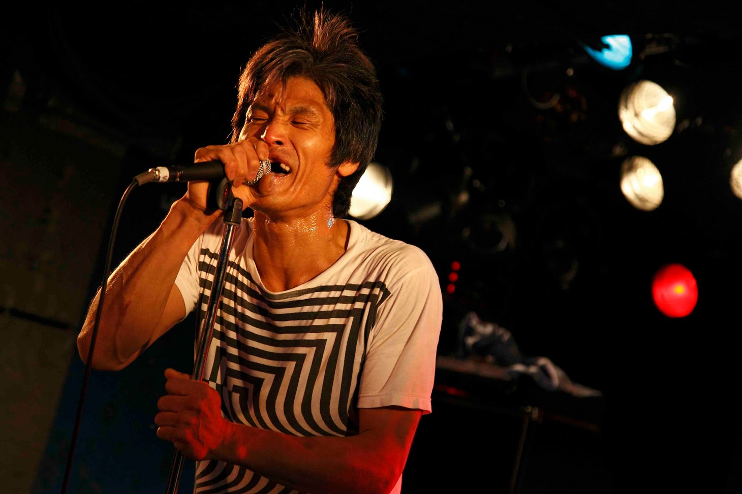 「THE FOOLS 愚か者たちの歌」