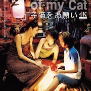 あの頃の5人に会いたい、ペ・ドゥナ出演「子猫をお願い」4Kリマスター版の予告