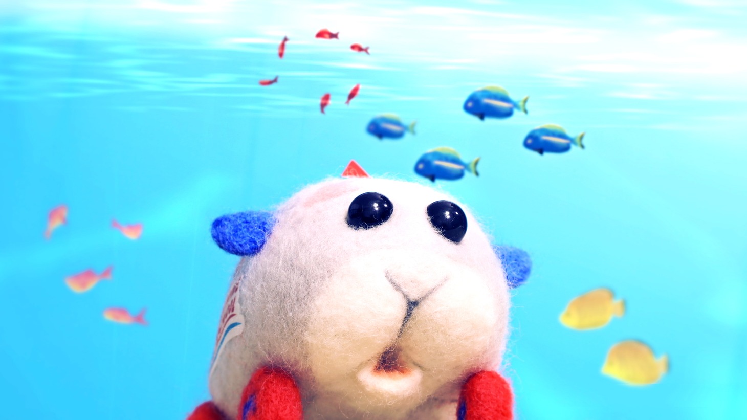 「PUI PUI モルカー DRIVING SCHOOL」PVより。