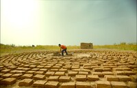 「小さき麦の花」
