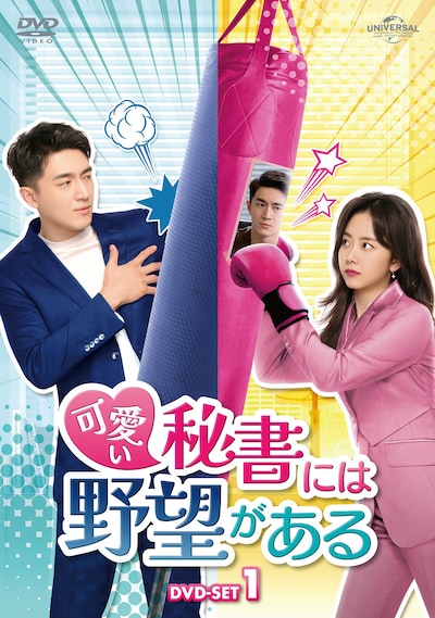 「可愛い秘書には野望がある」DVD-SET1のジャケット。