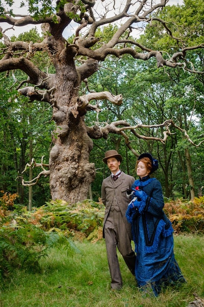 「ルイス・ウェイン 生涯愛した妻とネコ」