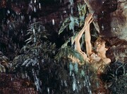 「獲物の分け前」(c)1966 TF1 STUDIO.