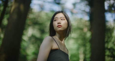 「BIG OLD TREE HYMN」