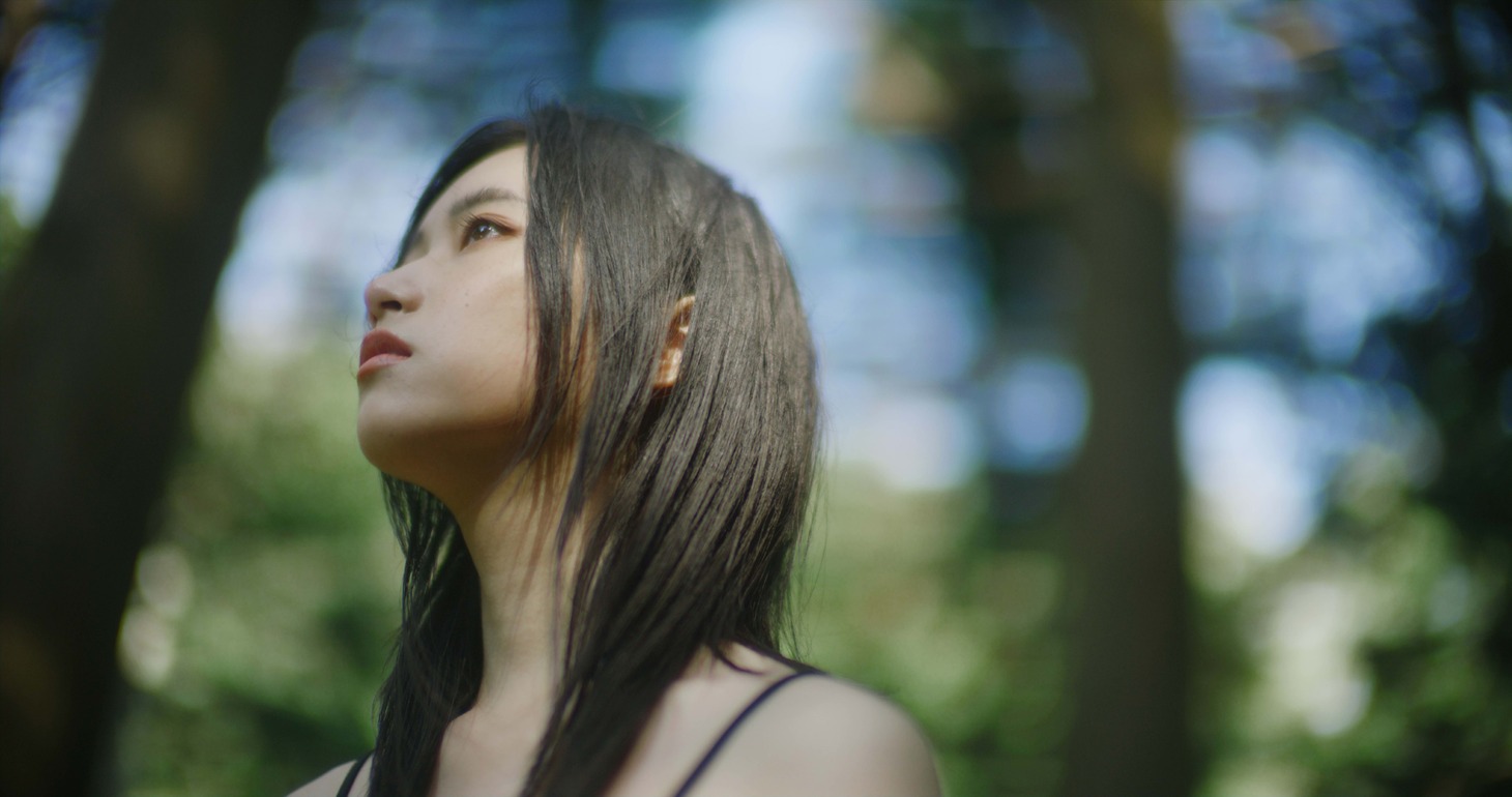 「BIG OLD TREE HYMN」