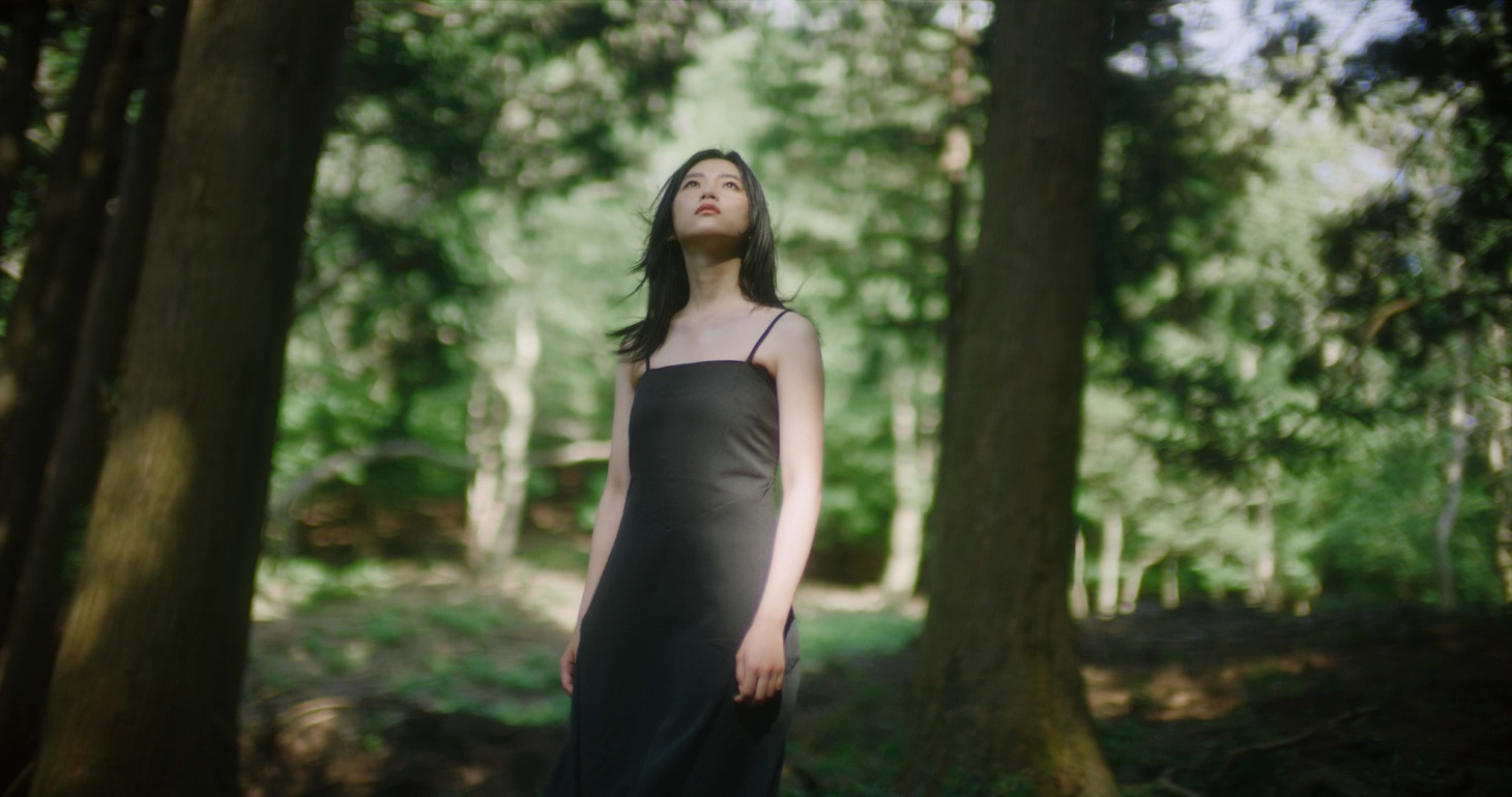 「BIG OLD TREE HYMN」