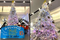 東京・新宿ピカデリーに飾られたクリスマスツリー。