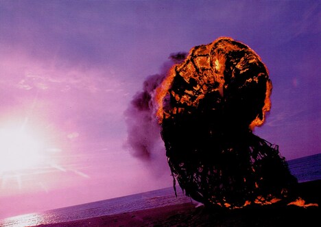 「アンモナイトのささやきを聞いた」