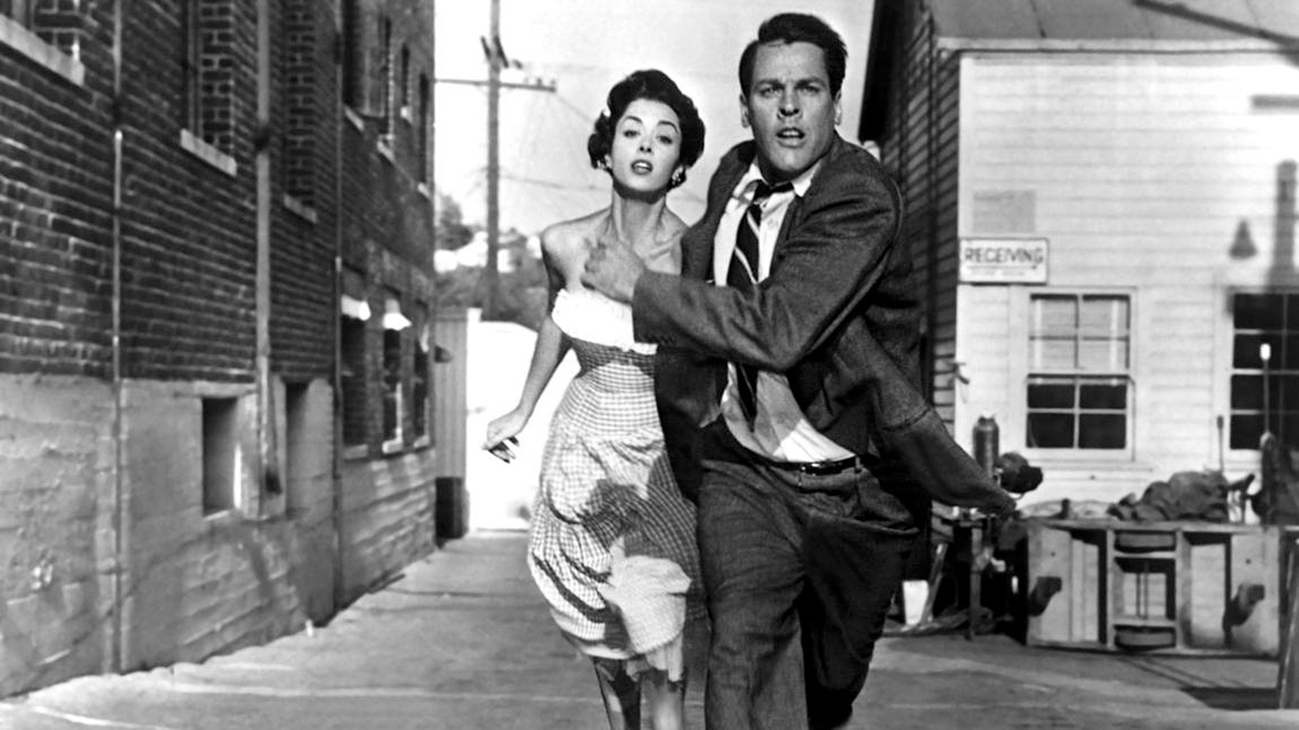「ボディ・スナッチャー／恐怖の街」