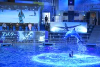 「アバター：ウェイ・オブ・ウォーター」イルカショーの様子。