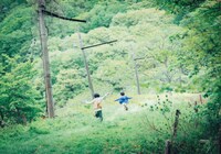 「怪物」 (c)2023「怪物」製作委員会