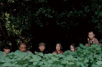 「クモとサルの家族」場面写真