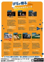 「IFS PLAYBACK＜インディーズフィルム・ショウ プレイバック＞」チラシ裏面