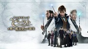 「ファンタスティック・ビーストと黒い魔法使いの誕生」ビジュアル
